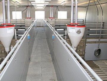 Ein Maststall der Niehuis Technik GmbH